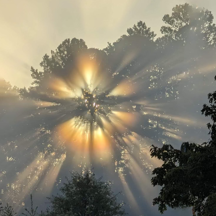 Helping Pastors Thrive: Spiritual Retreat for Clergy - January 2026 - logo